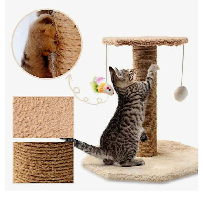 CatJoy – Arranhador de Gatos - Confia Zè