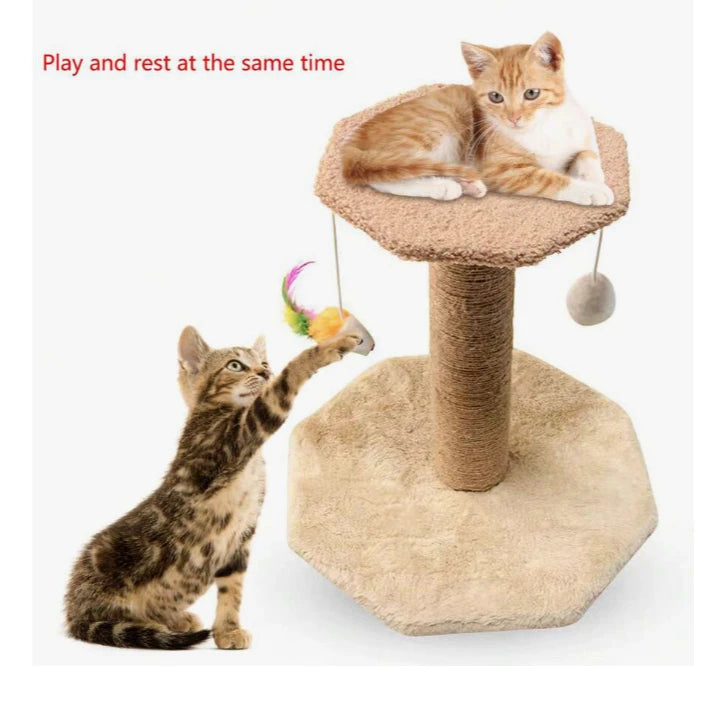CatJoy – Arranhador de Gatos - Confia Zè