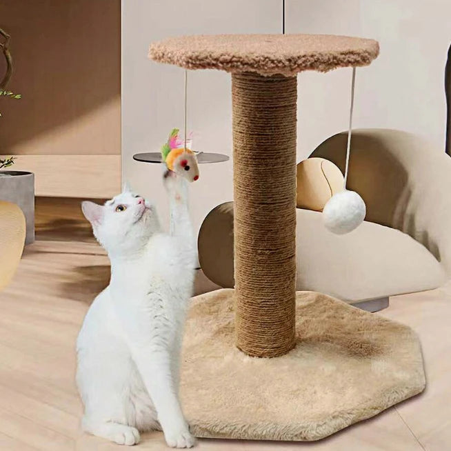 CatJoy – Arranhador de Gatos - Confia Zè